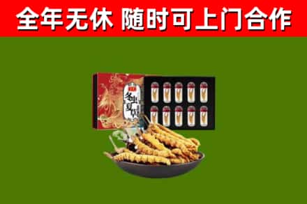 门源县回收冬虫夏草价格