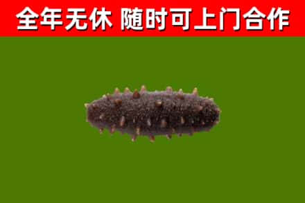 门源县烟酒回收干海参.jpg